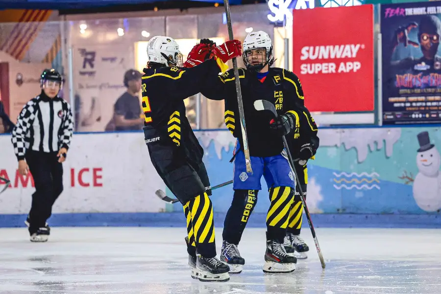 Frozen Faceoff 2025, photo 4