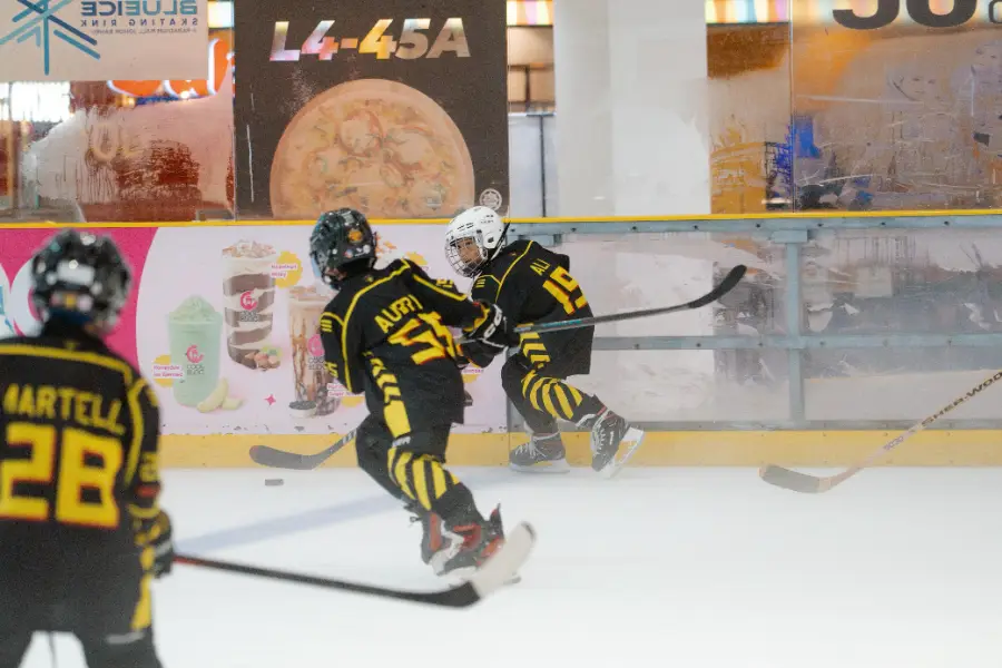 Johor Ice Hockey Tournament 2026, photo 5