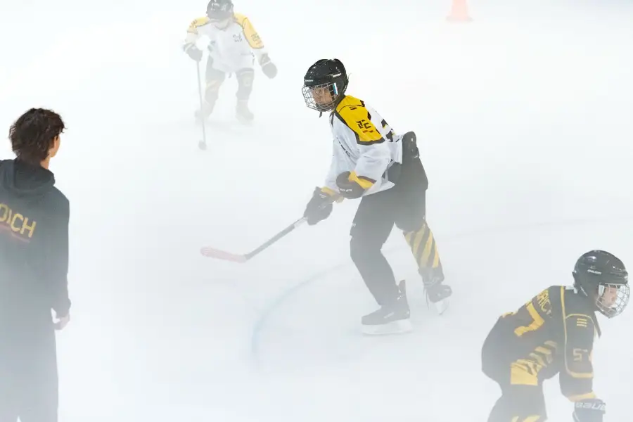 Lebaran Ice Hockey Camp 2026, photo 2