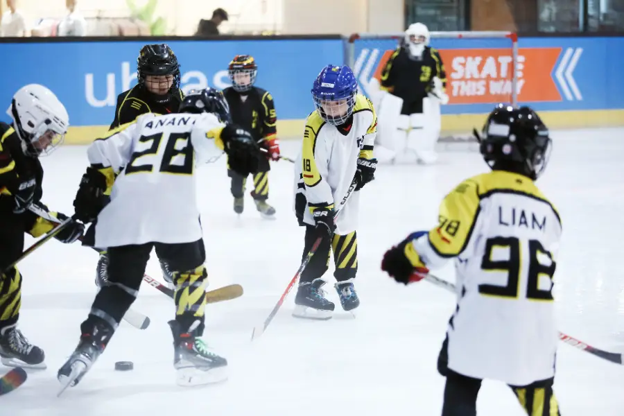 80+ Participants at COBRA/CAMP 2025