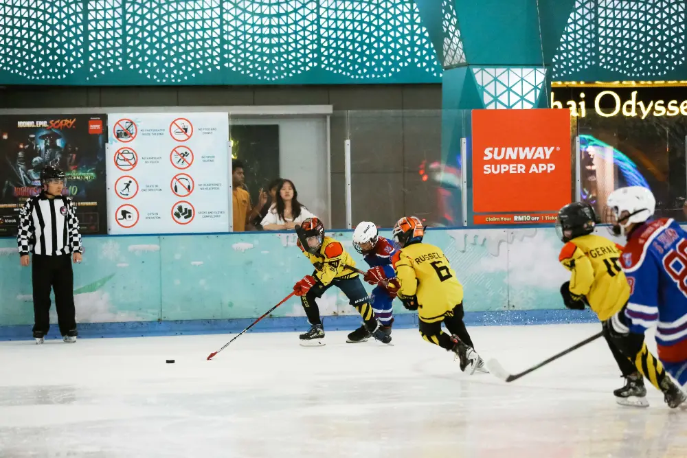 Incredible Journey at Frozen Faceoff Tournament 2024, photo 5